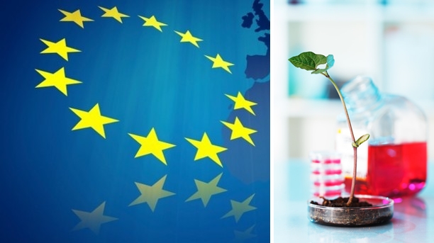 Avrupa Komisyonu İleri Tedavi Medikal Ürünlerine Yönelik Yeni Bir Kılavuz Yayınladı
