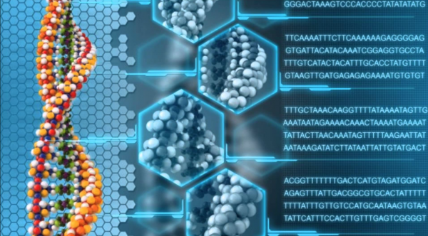 OXFORD NANOPORE ŞİRKETİNE 66 MİLYON DOLARLIK SERMAYE YATIRIMI