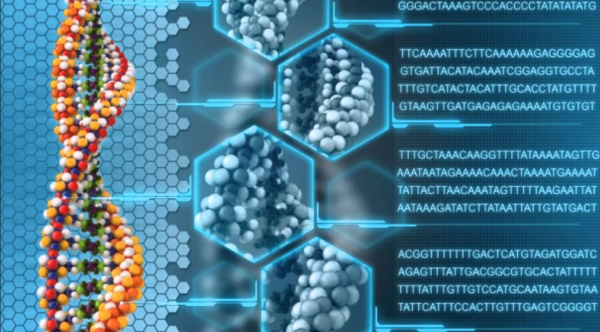 OXFORD NANOPORE ŞİRKETİNE 66 MİLYON DOLARLIK SERMAYE YATIRIMI 